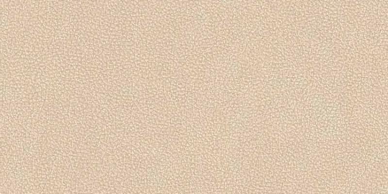 Cuir Beige Nat.3D 60x120