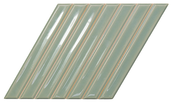 B Fern Gloss 15x25,9