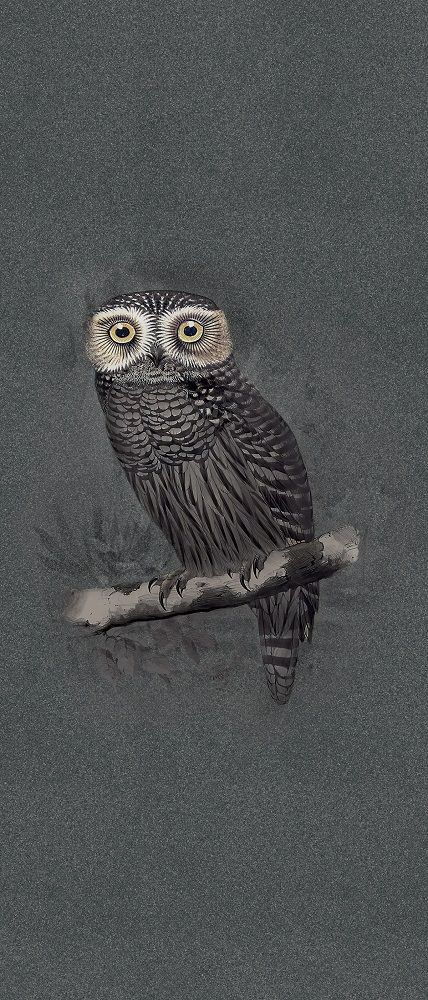 Hypnotic Owl 120x280