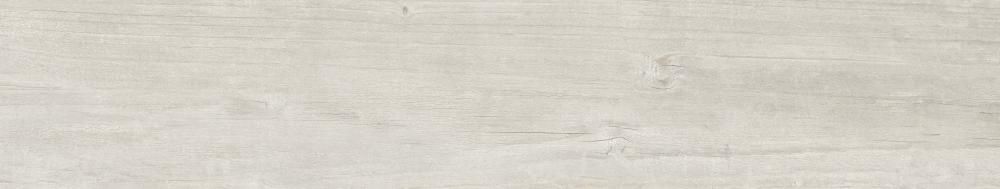 BETULLA 22x120