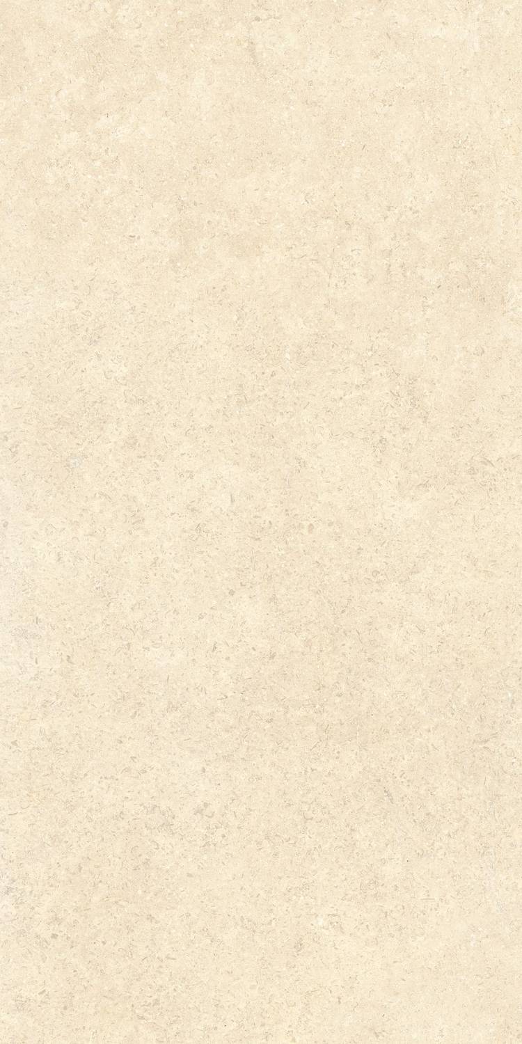 Песочный Mat R10A 8mm 60x120