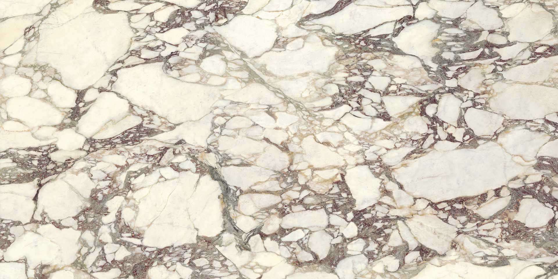 Breccia Medicea Lucido 150x300