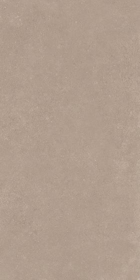 Taupe 60x120