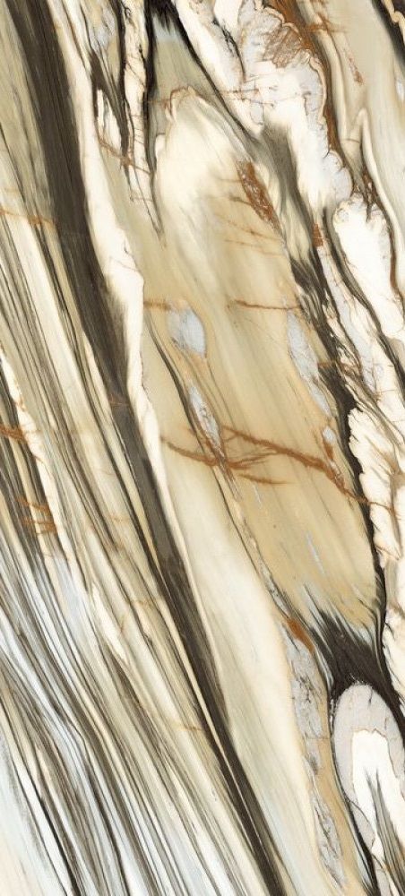 CALACATTA OYSTER CAL OY6 278 LPM 120x278