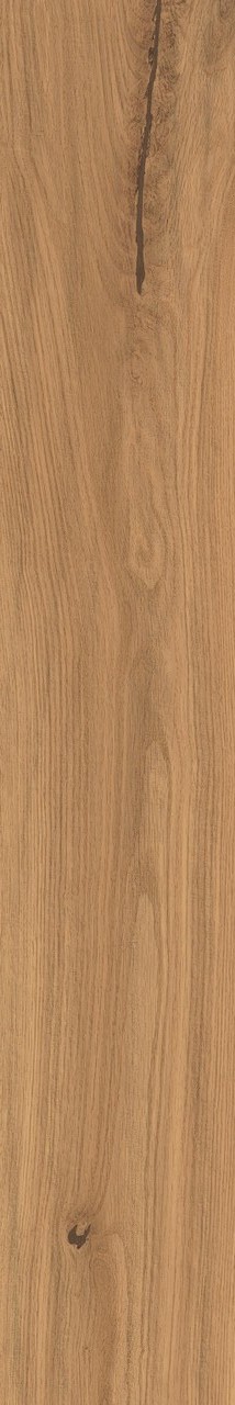 Amber Oak Forest Matt Sensitech 20x120