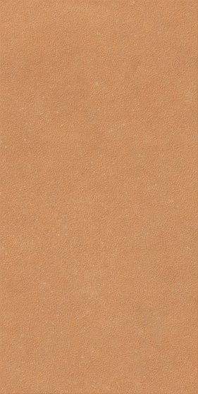 Grains Terra 60x120