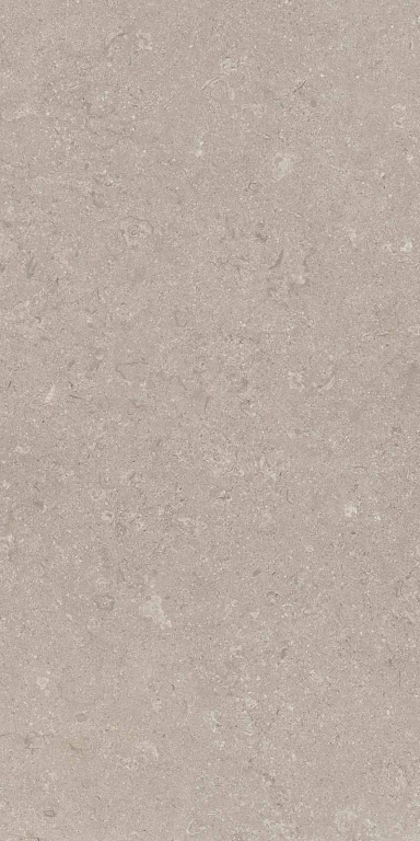 Grey 60x120