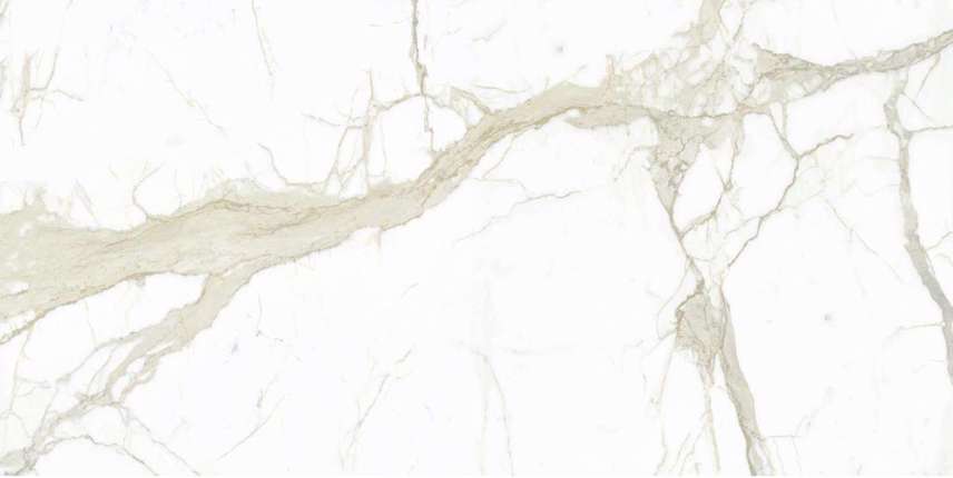 Calacatta White Naturale 60x120