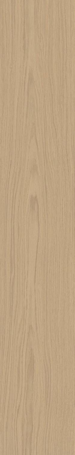 Sheer Matt RT 20x120