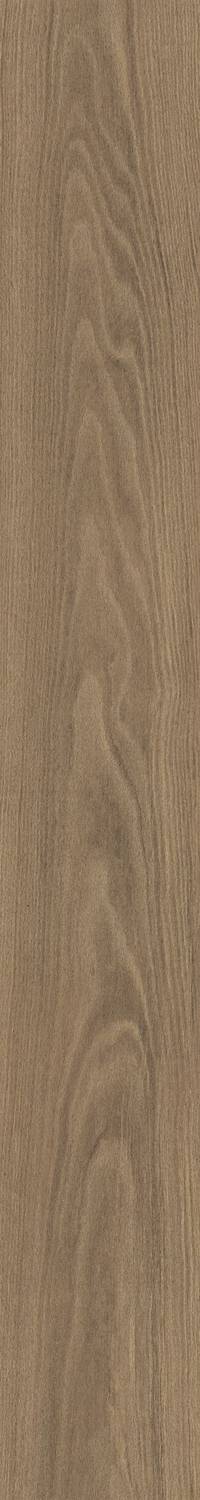 Douglas6 2015 20x150