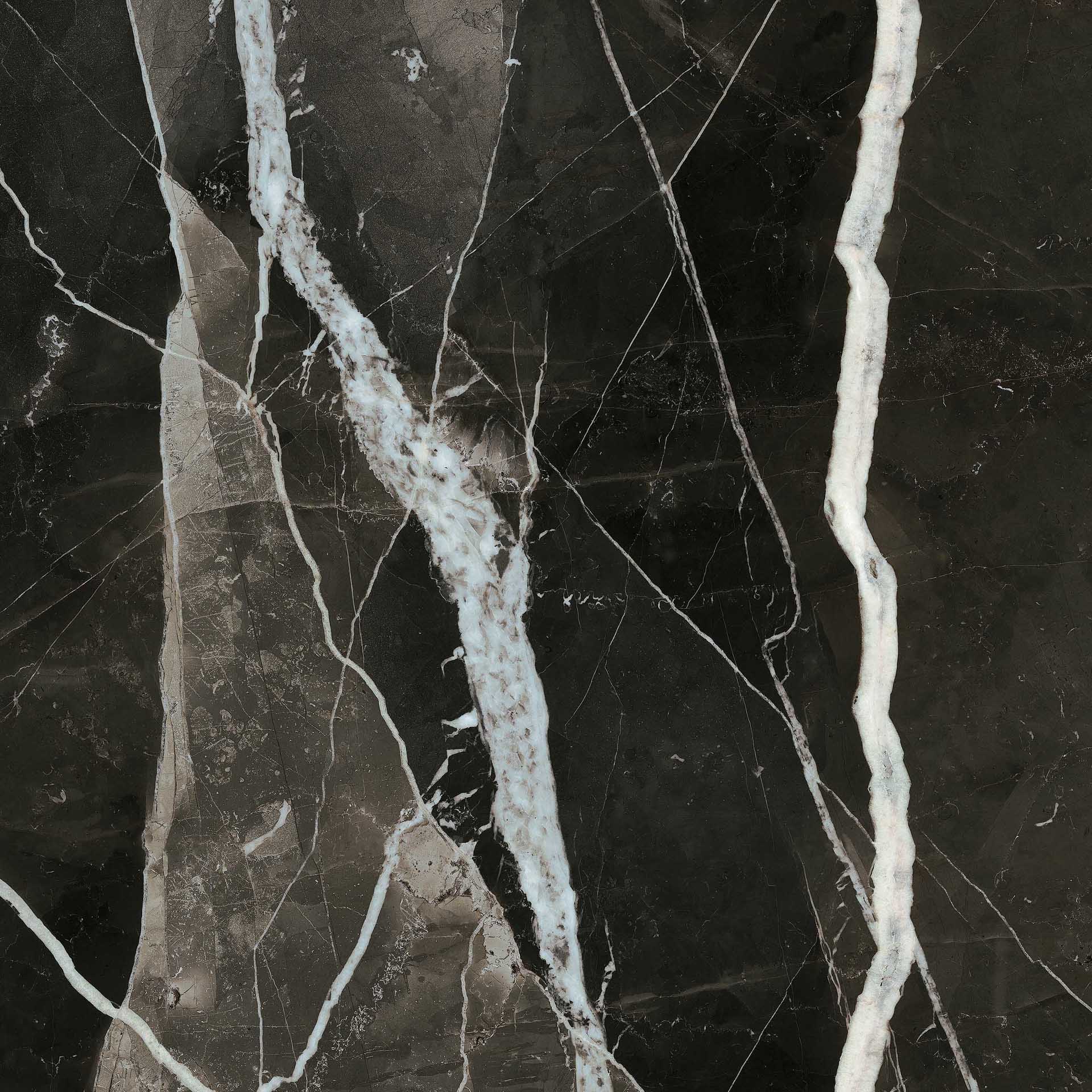 Calacatta Black Lucidato 120x120