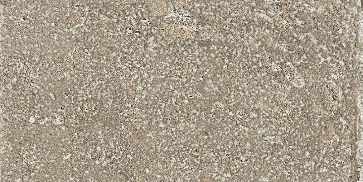 Argilla 20x40