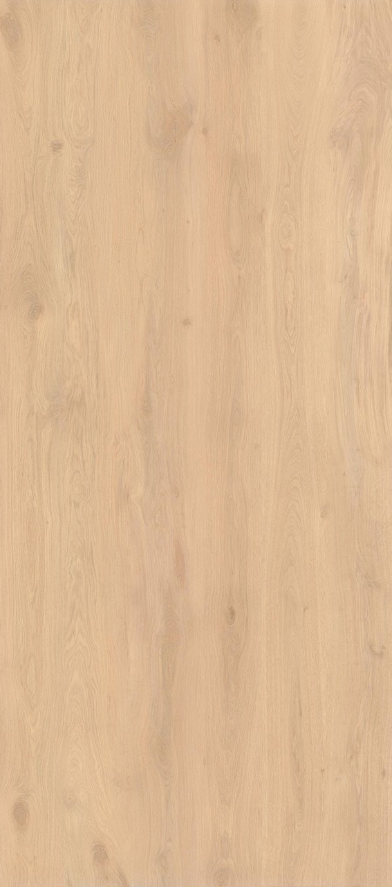 Bright Oak Matt 120x278