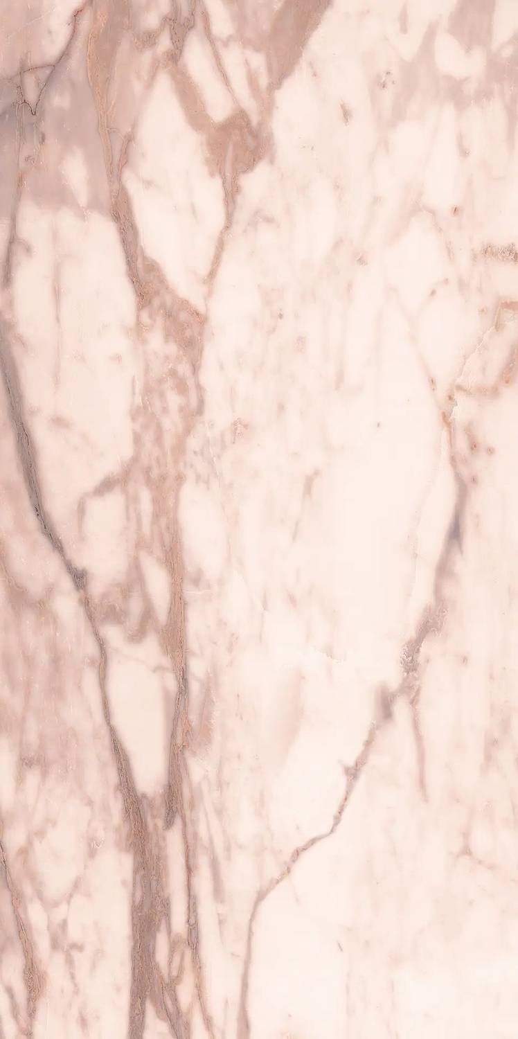 Rose Ret 60x120