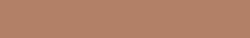 STRIP Color 04 Caramel 2.1x13.7