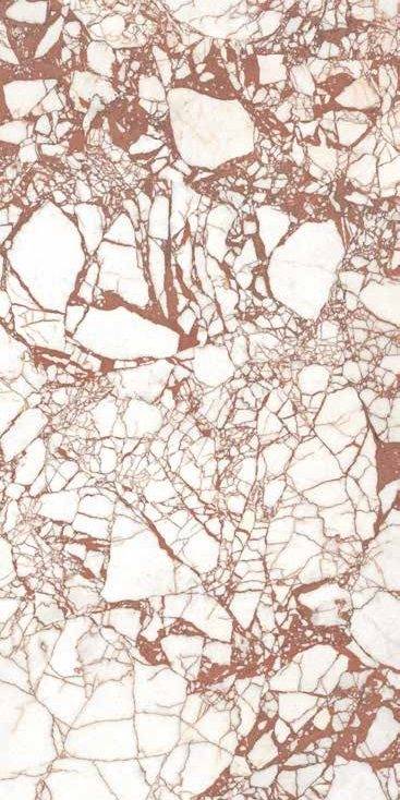 Calacatta Dante Nat Rett 60x120