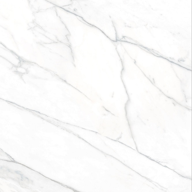 Carrara Rect. 60x60