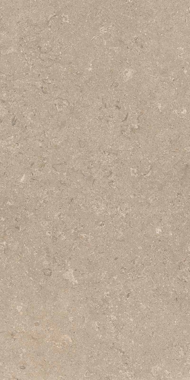 Beige 60x120