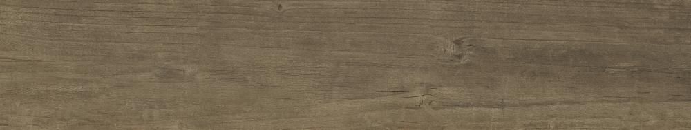 NOCE 22x120
