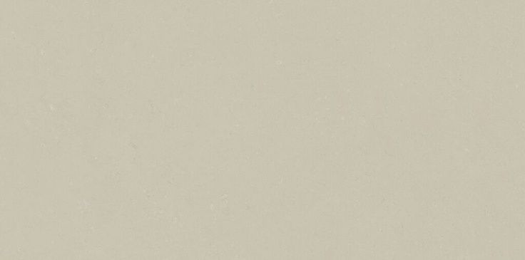 Ivory Brushed Mate Rect 60x120