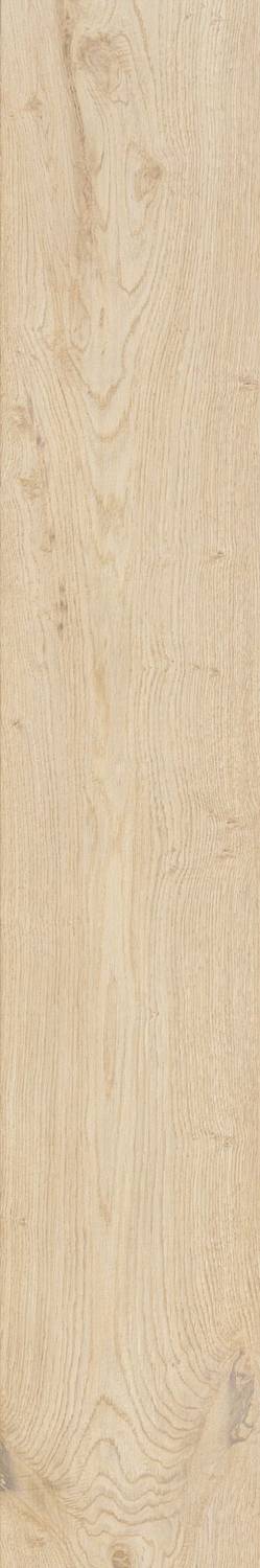 Almond R9 20x120