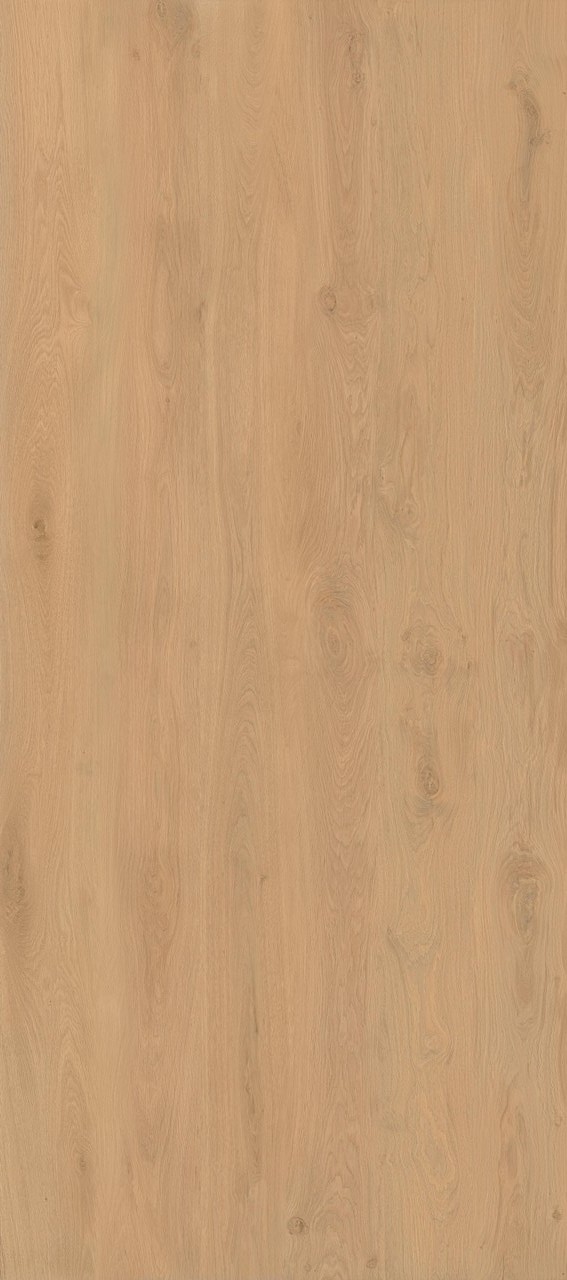 Icon Oak Matt 120x278