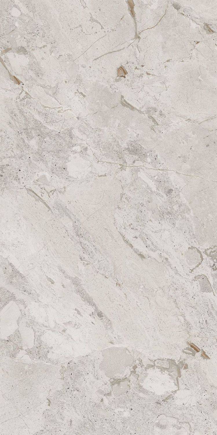 Silver Lev 60x120