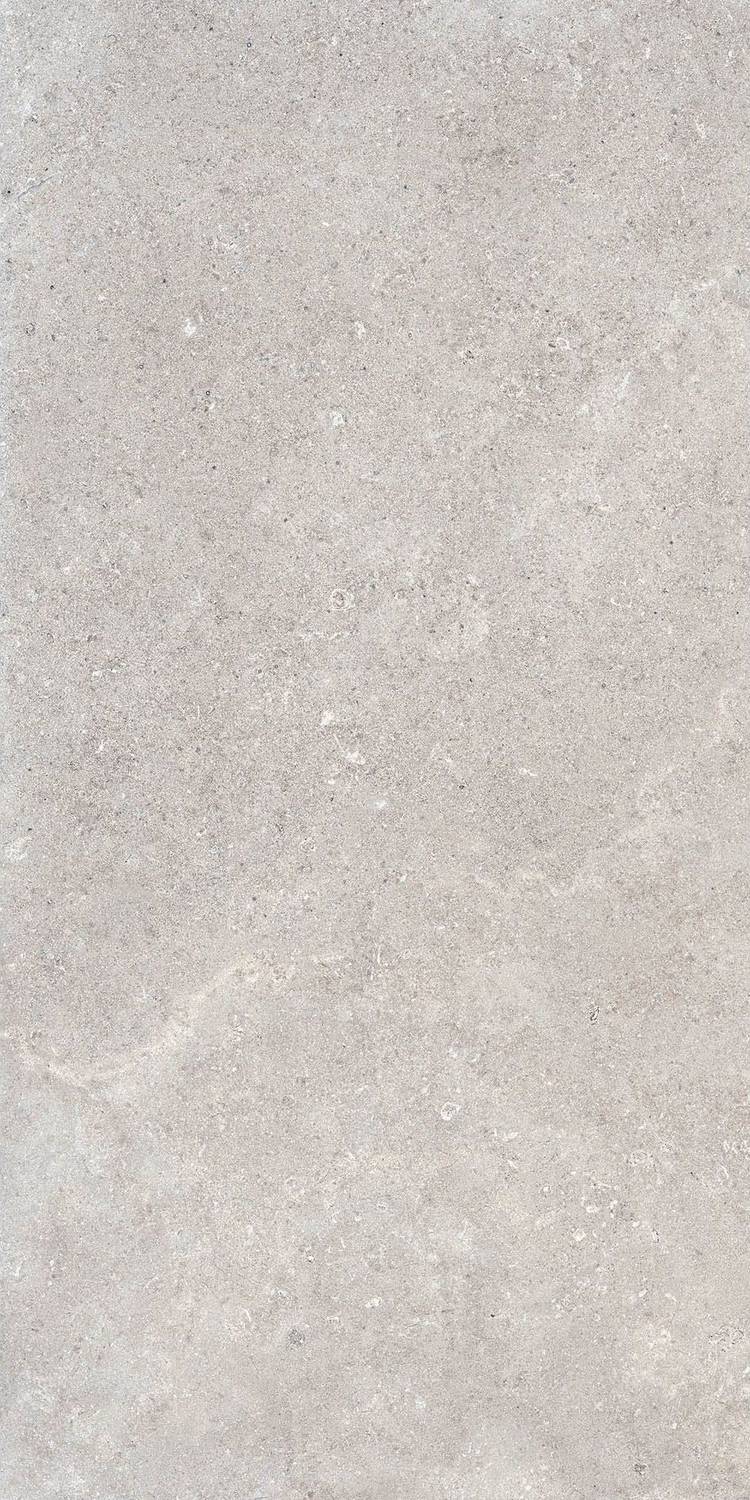 Gris Matt Pro R 60x120
