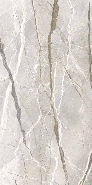Silver Roots Nat Rett 60x120