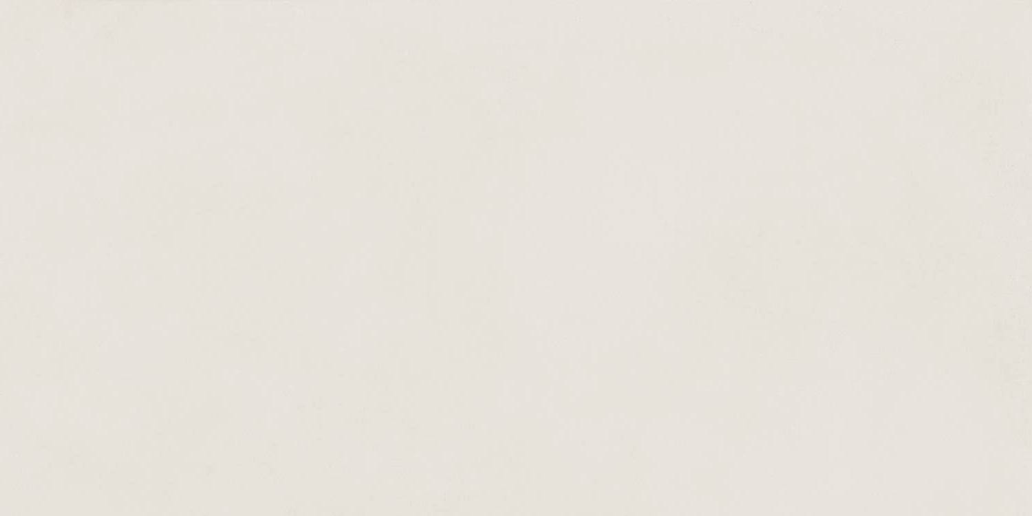 Slim Polar Matt Rect 60x120