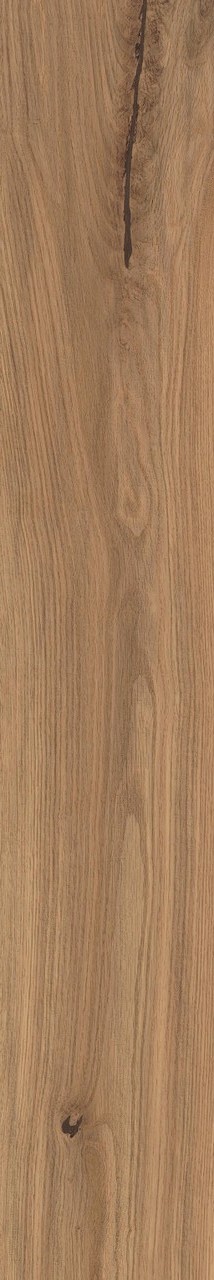 Deep Oak Forest Matt Sensitech 20x120