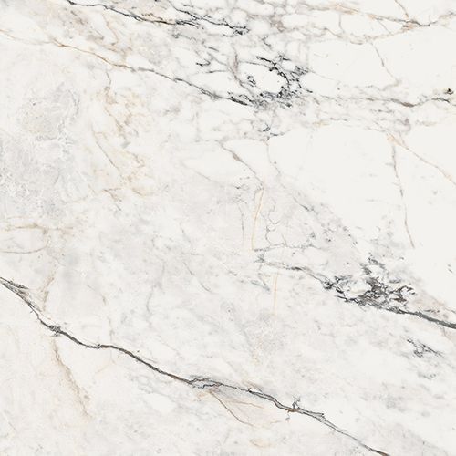 Paonazzetto AE PAO6 120 RM 120x120