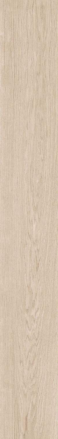 Oat6 2015 20x150