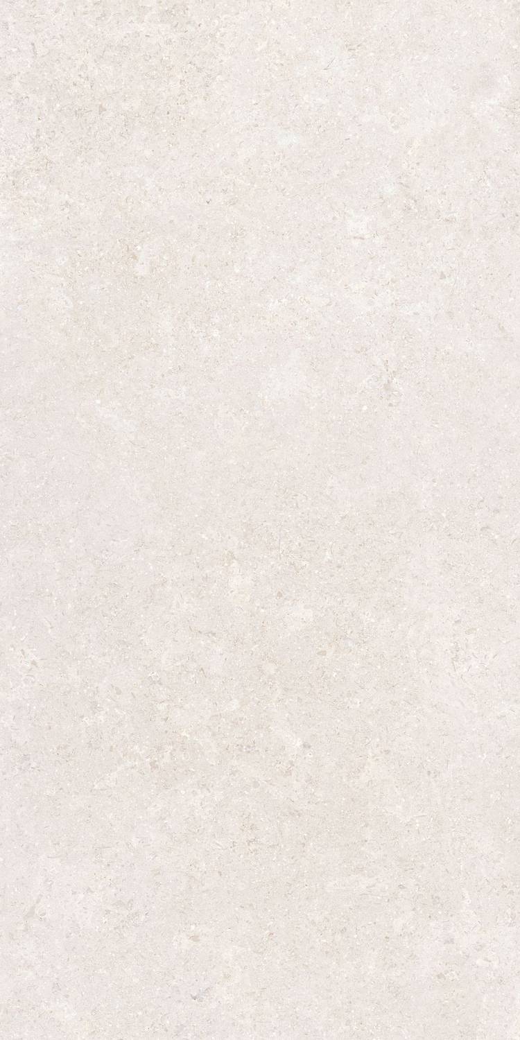Белый Mat R10A 8mm 60x120