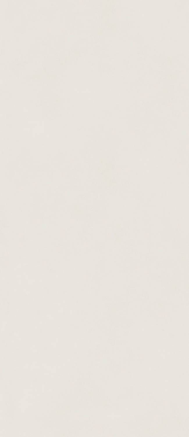 Slim Polar Matt Rect 6mm 120x278