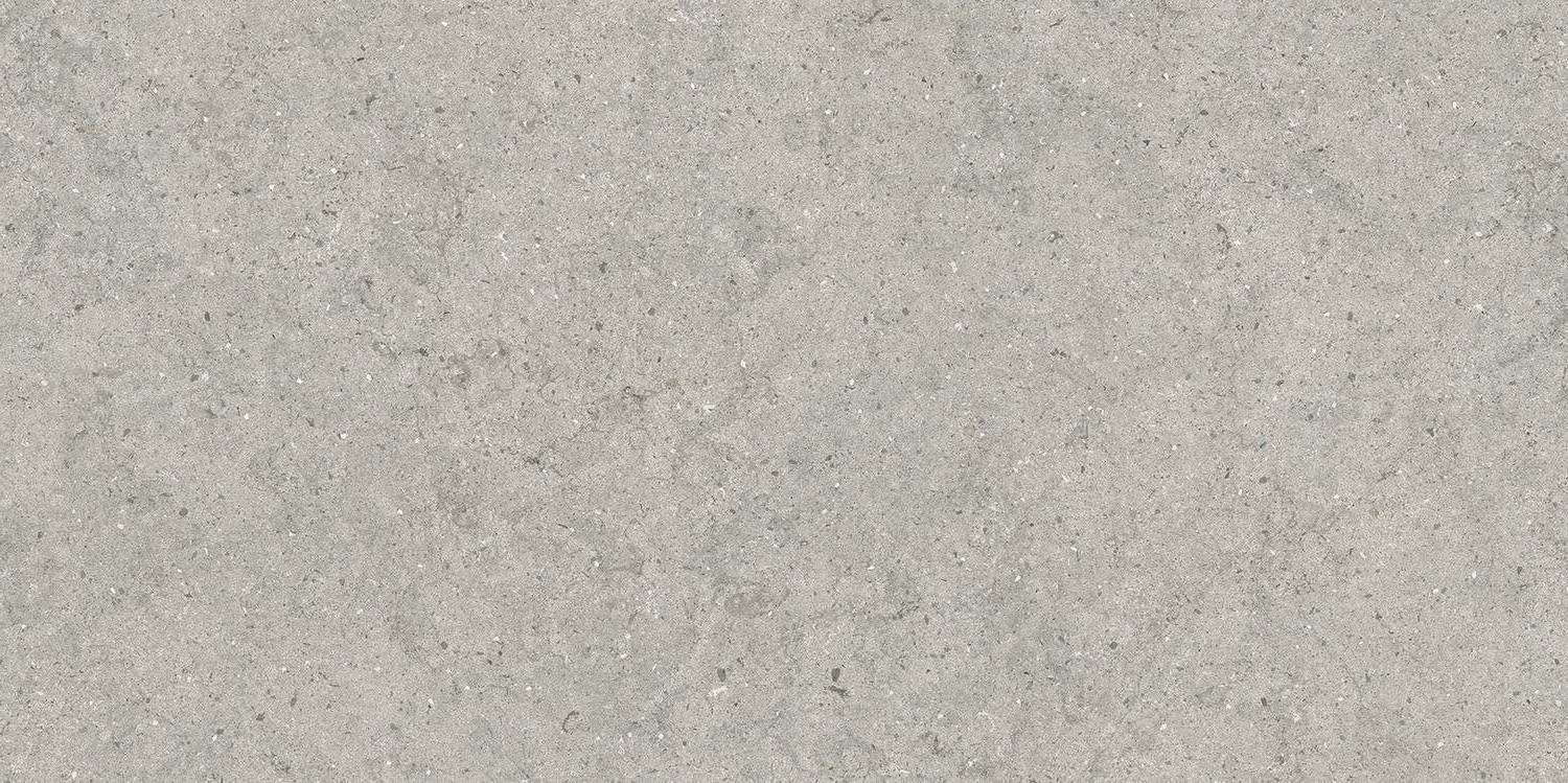 Stone Silver Matt Rect 60x120