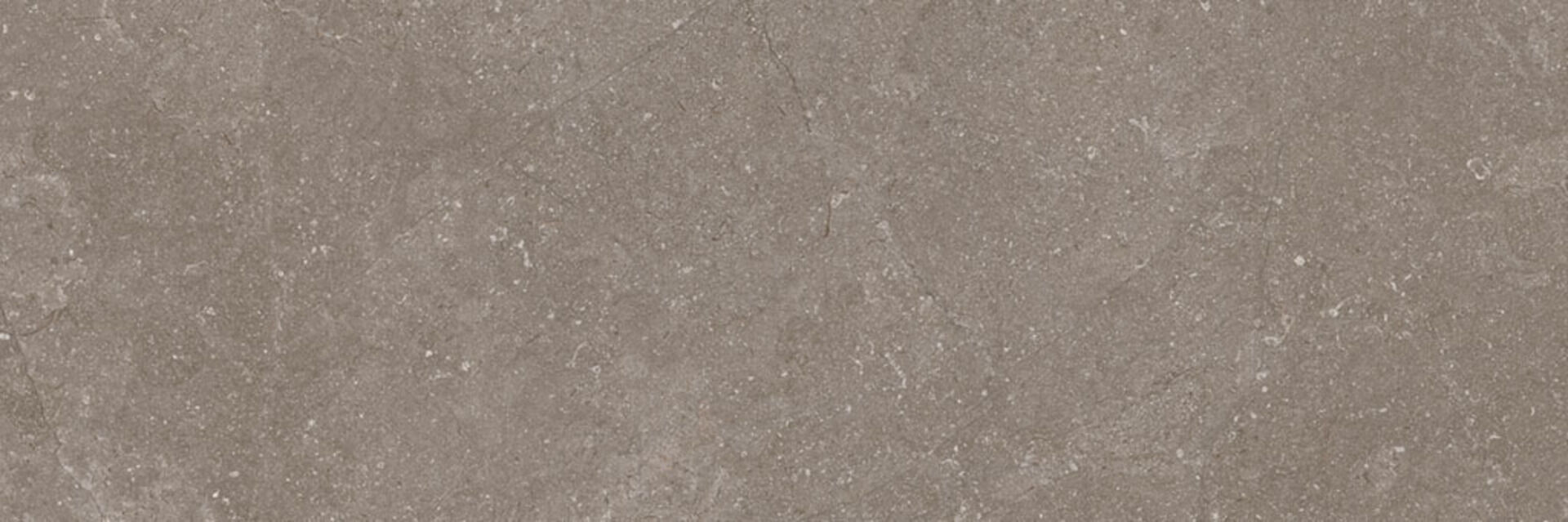 Taupe 40x120