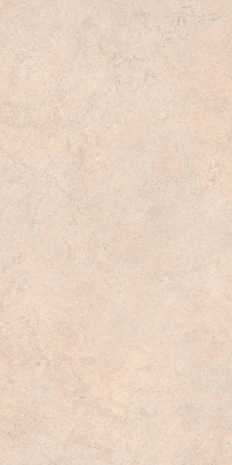 Taupe 60x120