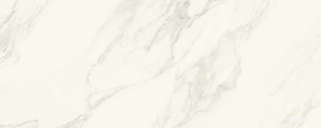Glossy Calacatta 5.5 100x250