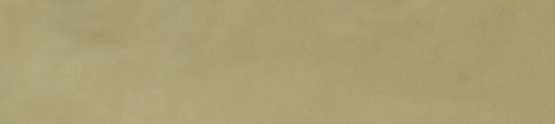 Salvia Glossy 5,7x23,2