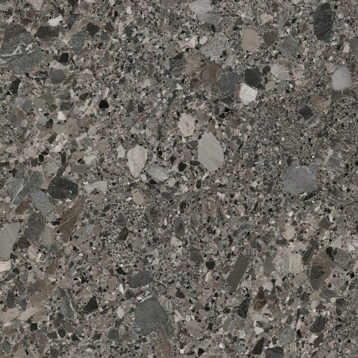 Grigio Antic 120x120