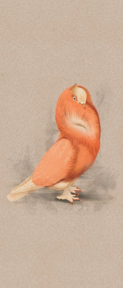 Cloistered Dove 120x280