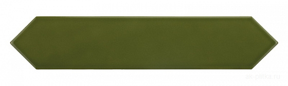 Green Kelp 5x25