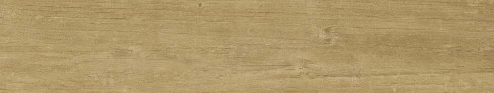 MIELE 22x120