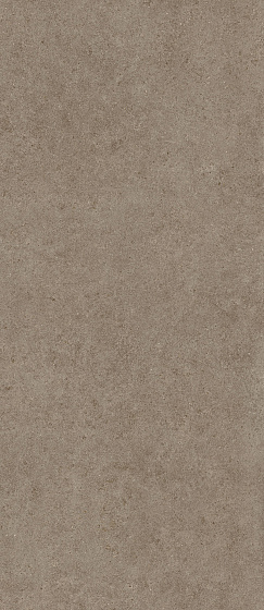 Taupe 120x278