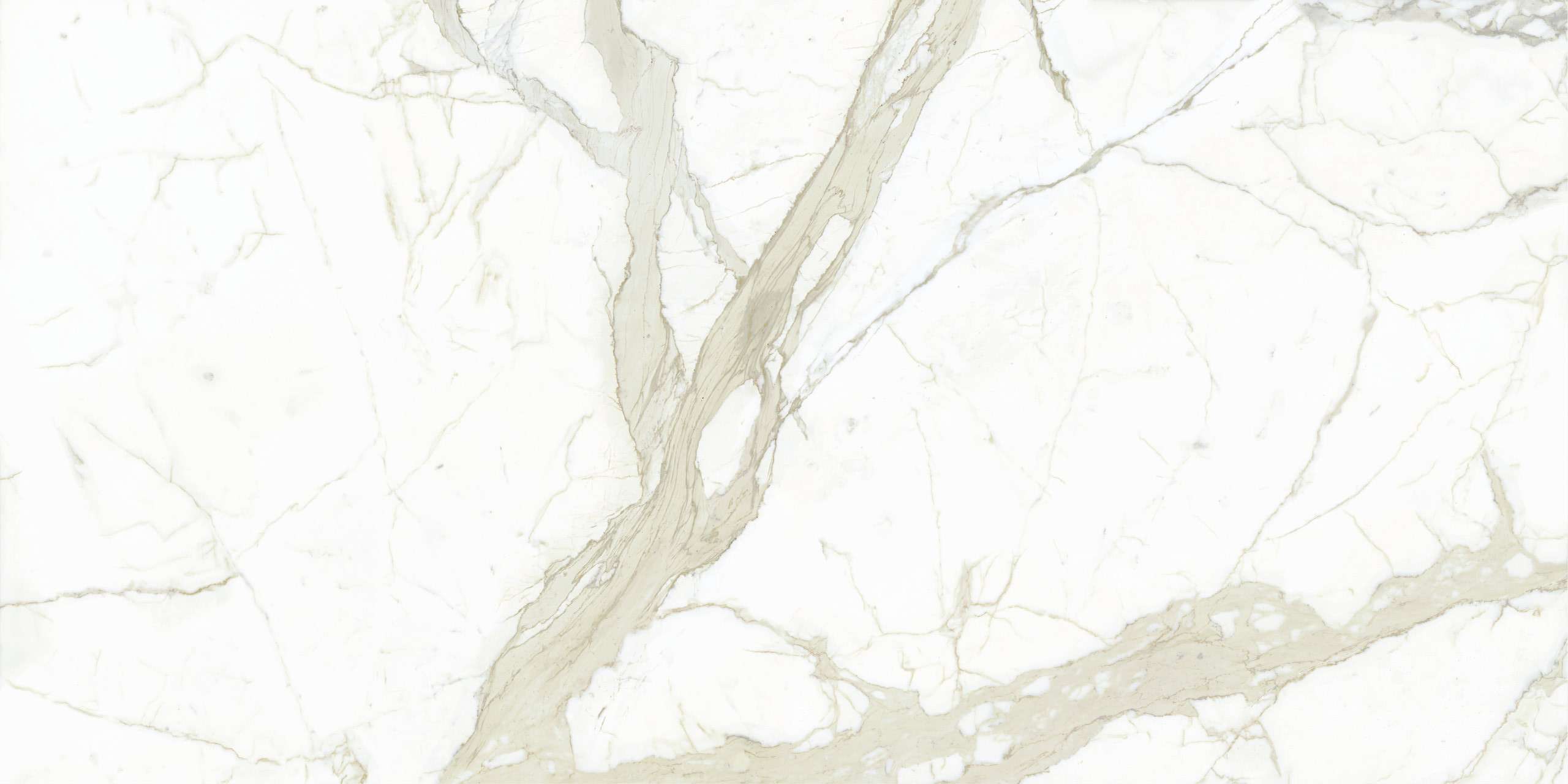 White Calacatta Silky 150x300