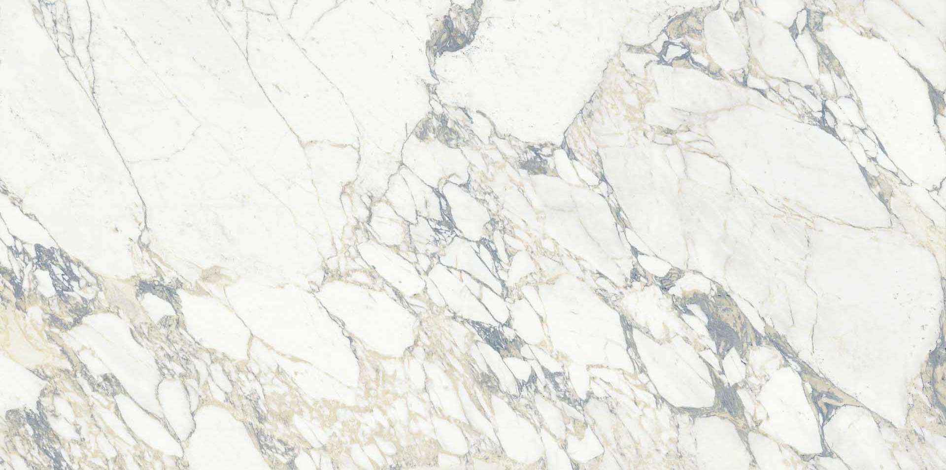 Arabescato Lucido 75x150