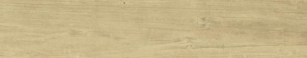 NATURALE 22x120