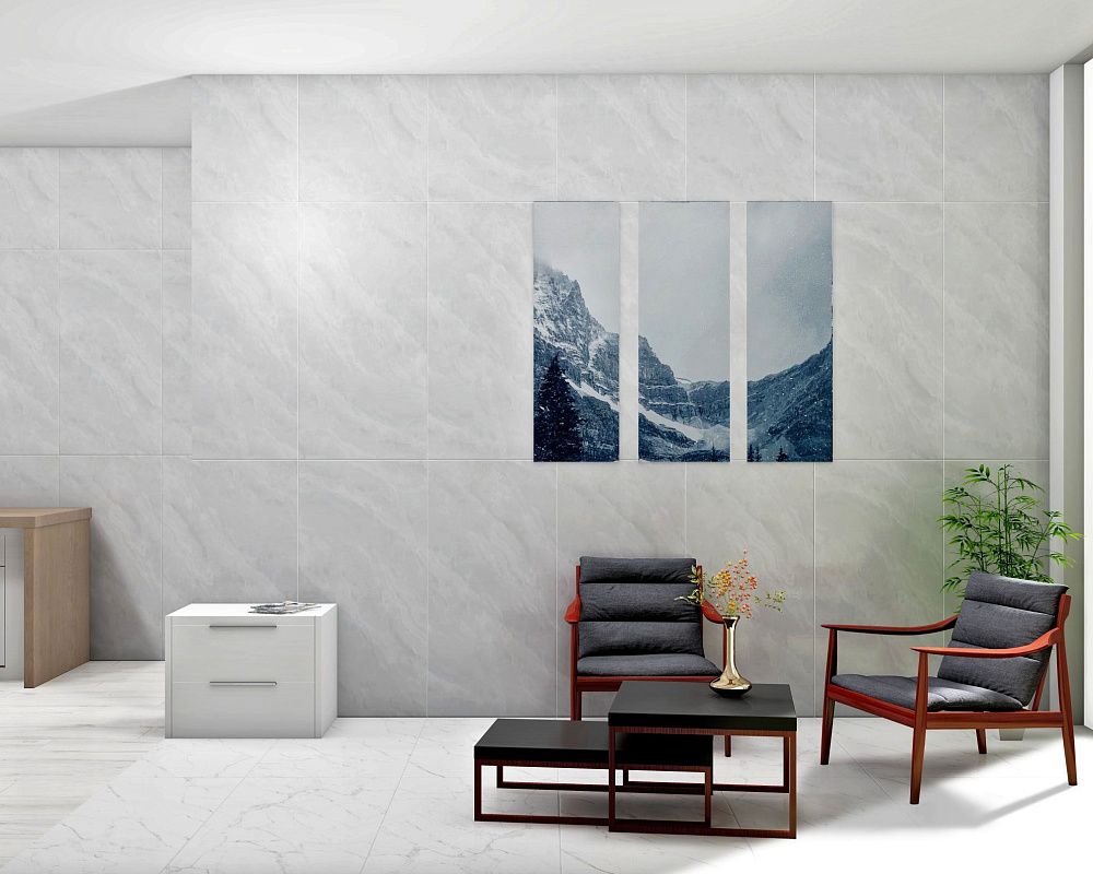 Grey Glossy 60x120