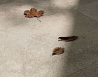 Stone Vision